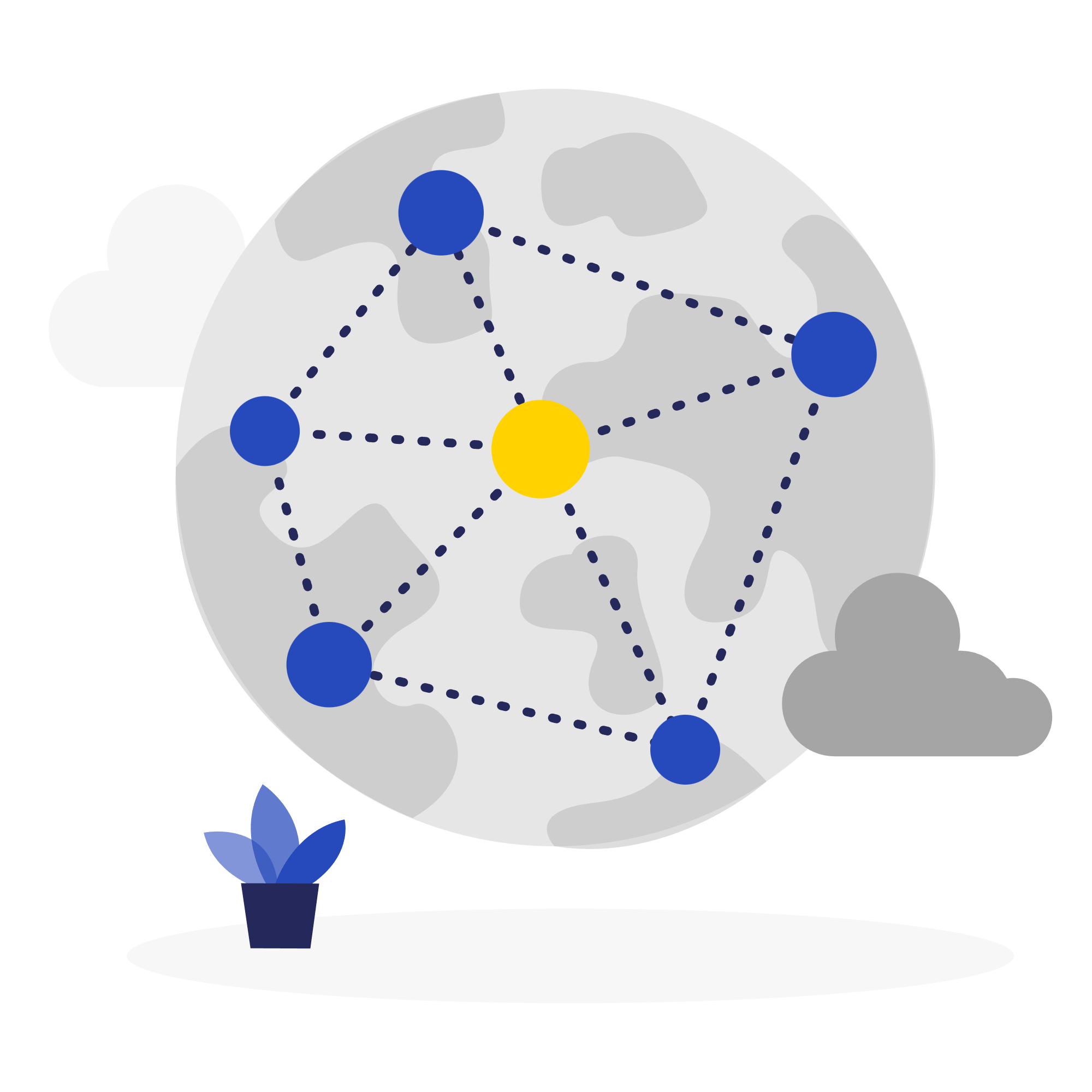 Network Setup & Repairs